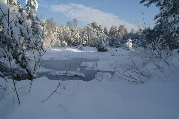 Rohböden am alten Schießplatz , Siebentischwald , Bavaria 
