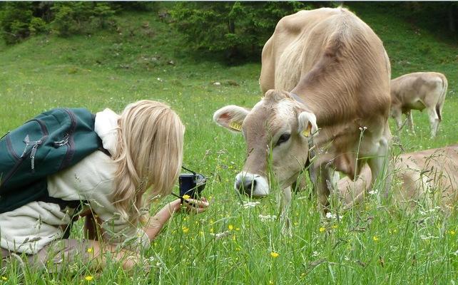 Tour on the bavaria alps