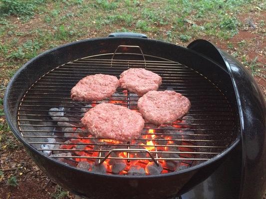 ..hot burger... organic Makaweli Beef from right here on Kauai... another wonderful meal with GreatNature, my Bavarian beauty...