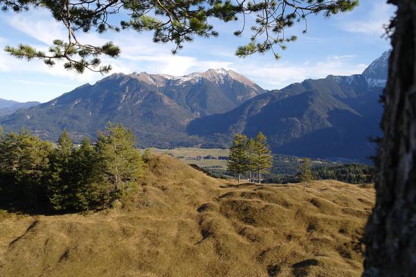 Kranzberg , Buckelwiesen, Mittenwald , Wettersteingebirge ,Bavaria 