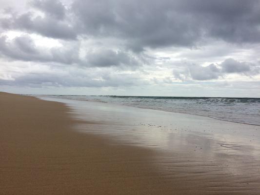 Kekaha Beach on a rare cloudy day... seemingly endless expanses of beach...waves gently lapping the shore with moisture laden gray clouds overhead. The people that live on the west side of Kauai welcome the rain since it doesn't rain on this side very often. A great beach for walking and holding hands with the one you love...❤