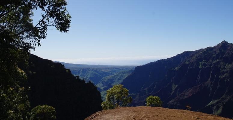 Kokeè... on the trail to Waipoò Falls. A nice trek today. Beautiful color contrasts with red dirt, green foliage and beautiful clear blue skies... 