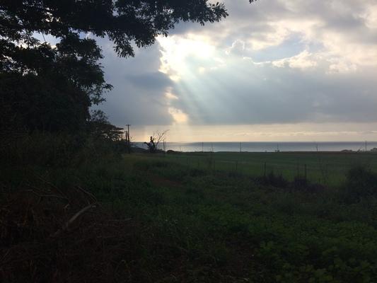 Dreamlike garden ❤️... Grit's sunset view from the backyard...looking West as the sun sets... The Forbidden Island of Niihau is just barely visible in the distance...wonderful evenings...gentle breezes.... incredible views...