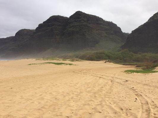 Polihale State Park Beach... the westernmost beach on Kauai...another long stretch of  sand. The sand shows tracks from a 4 wheel drive and the mountains that are the beginning of the beautiful Na Pali coastline. A favorite of campers and people wanting to get away... it's a bit of a drive to the end of the highway, then 4.8 miles of very rough road to one of the prettiest beaches in Hawaii... on Kauai...