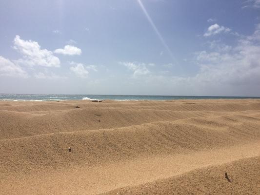 Kekaha Beach windrows... calm Pacific Ocean in the distance with small glassy waves and clouds decorating the blue skies...