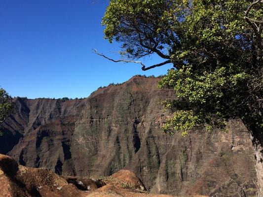 The view by Waipoò Waterfall in Waimea Canyon on Western Kauai. Mark Twain called Waimea Canyon "The Grand Canyon of the Pacific".  The geography and geology are impressive. Great hiking and views... 