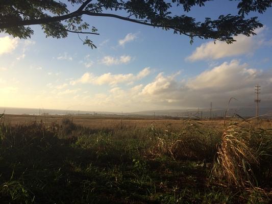 The view from the backyard in Kaumakani, HI... looking West toward the town of Waimea and the foothills of Kokeè... gentle trade winds and warm sunshine...