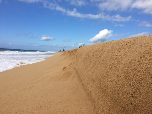 The high tide line in the sand at beautiful Kekaha Beach on Kauai... wide gorgeous sand beaches... blue skies and white, puffy clouds...