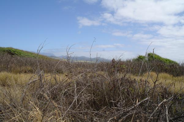 Salt Pond Beach looking away from the sand... here you see the drier vegetation, not very green, with our mountains in the distance and the beautiful clear blue sky... 