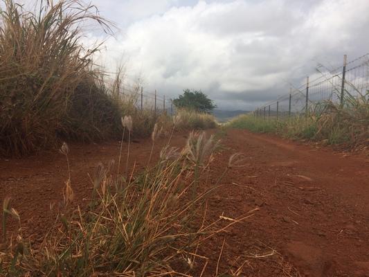 Kaumakani ❤️❤️❤️ Rich red iron oxide laden soil. Stormy skies, grasses and trees make for a beautiful landscape... made more beautiful by my beautiful Bavarian woman ❤