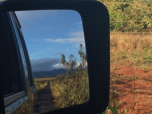 Reflections in the mirror... private land in Makaweli on Kauai, leading to a secret location with mei Schatzl... blue sky, green landscape and beautiful rich red soil... ❤