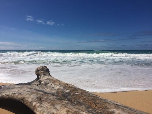 Kekaha Beach ❤️.... a beautiful stretch of sandy beach... Kekaha with a large piece of driftwood that washed ashore ... 