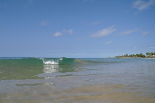 Glassy waves shining in the early morning sun...trees in the distance reach toward the blue sky above...