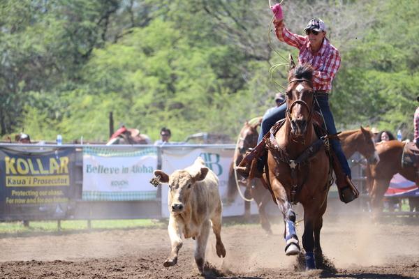 Waimea town celebration rodeo 2018, Hawaii, paniolo, cow, cattle, Kauai