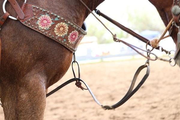 Waimea town celebration rodeo 2018, Hawaii, paniolo, cow, cattle, Kauai, keiki, leather, flower, Waimea town celebration rodeo 2017, Hawaii, paniolo, cow, cattle, Kauai, pretty horse