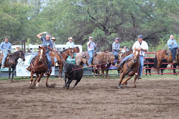 Hawaii Kauai 23.02.2018 waimea Rodeo