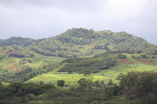 Hawaii Kauai beautyful green landscape 