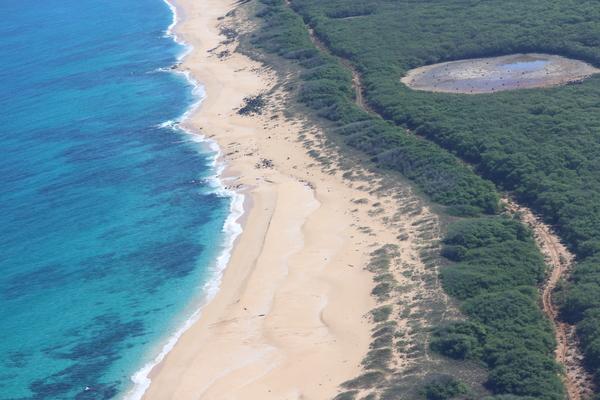 Niihau – Die Verbotene Insel von Hawaii
1. Allgemeine Informationen
• Lage: Etwa 29 km westlich von Kauai• xdFläche: 180 km² (siebtgrößte der hawaiianischen Inseln)• Bevölkerung: Etwa noch 70 Einwohner• Sprache: Nihhau Hawaiianisch ist die Hauptsprache – Niihau ist der einzige Ort in Hawaii, wo sie im Alltag verwendet wird.•
2. Warum wird sie „Die Verbotene Insel“ genannt?
• Im Jahr 1864 kaufte Elizabeth Sinclair die Insel von König Kamehameha V. für 10.000 US-Dollar, um die hawaiianische Kultur zu bewahren.• Die  Insel war  für Außenstehende gesperrt, um die Traditionen der Einheimischen zu schützen.• Kein Strom, keine Autos, keine Geschäfte – das Leben auf Niihau ist sehr einfach und traditionell.
3. Natur und Umwelt
• Wildtiere: Heimat vieler seltener Arten, darunter bedrohte hawaiianische Mönchsrobben , Meeresschildkroete , afrikanische Antilope Niihau, Niihau  eland  Schaf.• Klima: Trockenes, halbwüstenartiges Klima mit wenig Niederschlag. Strnde: Wunderschöne, unberührte Strände mit klarem Wasser und reichem Meeresleben.
4. Zugang zur Insel nur mit Niihau Helicopters Kaumakani
• Kein öffentlicher Verkehr: Es gibt keine Fährverbindungen oder regulären Flüge.• Private Helikoptertour mit Niihau Helikopter. 
4 Stunden am Strand oder auf eine Tagessafari mit den einheimischen
• Niihau-Muscheln: Sehr wertvolle Schmuckstücke, die ausschließlich auf Niihau gesammelt und verarbeitet werden.• Zweiter Weltkrieg: 1941 fand das „Niihau-Ereignis“ statt, als ein japanischer Pilot nach dem Angriff auf Pearl Harbor notlanden musste.• Hawaiianische Kultur: Die Insel ist eines der letzten Refugien, in denen Hawaiianisch als Hauptsprache gesprochen wird.