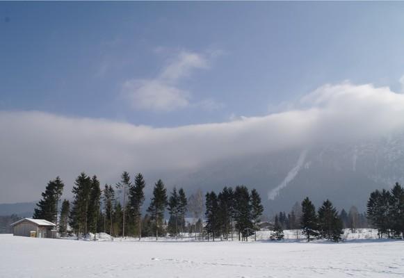 Inzell , Bavaria , Schlittenhunderennen 2015, 