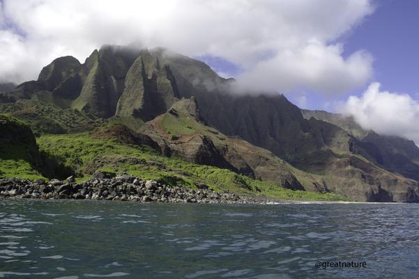 The Nā Pali Coast does not have a direct history of war in the conventional sense of large-scale battles or military conflicts. However, warfare and conflicts among Native Hawaiian chiefs (aliʻi) played a significant role in the history of the region, particularly during the era of Hawaiian unification and internal struggles for power. Below are key historical events related to warfare and conflict on or near the Nā Pali Coast:

1. Ancient Hawaiian Warfare (Pre-European Contact)
	•	The Hawaiian Islands were divided into competing chiefdoms, and warfare was common as aliʻi sought to expand their control.
	•	The Nā Pali Coast, with its rugged terrain and difficult access, served as a natural refuge for those fleeing conflicts or seeking protection.
	•	Some valleys along the Nā Pali Coast, such as Kalalau and Hanakoa, were occupied by small, self-sufficient communities that were somewhat insulated from larger battles happening elsewhere on Kauai.

2. Kamehameha’s Attempted Invasion of Kauai (1796 & 1804)
	•	King Kamehameha I, who sought to unify all the Hawaiian Islands under his rule, attempted to invade Kauai twice.
	•	First Attempt (1796): Kamehameha gathered a large fleet of war canoes, but a powerful storm off the Nā Pali Coast sank many of his ships, forcing him to retreat.
	•	Second Attempt (1804): A major outbreak of disease (likely cholera or typhoid) weakened Kamehameha’s army before the invasion.
	•	Eventually, in 1810, Kaumualiʻi, the ruling chief of Kauai, peacefully agreed to become a vassal to Kamehameha, avoiding further bloodshed.

3. The Battle of Kalalau (1893)
	•	This was one of the few recorded military conflicts specifically associated with the Nā Pali Coast.
	•	After the overthrow of the Hawaiian Kingdom in 1893, the Provisional Government of Hawaii enforced new laws, including those against leprosy (Hansen’s disease).
	•	Kalalau Valley became a refuge for leprosy patients and outlaws, some of whom resisted the government’s efforts to remove them.
	•	The Hawaiian police force, led by Deputy Sheriff Louis Stolz, engaged in a violent confrontation with a small band of rebels in Kalalau.
	•	Outcome: The resistance was crushed, and those who remained in hiding were either killed or captured. This marked the end of Native Hawaiian settlements in Kalalau Valley.

4. World War II & Military Presence
	•	During World War II, Kauai played a strategic role in military operations, but the Nā Pali Coast itself saw little direct action.
	•	The rugged cliffs and beaches were used for military training exercises, and naval patrols monitored the area for potential enemy activity.
	•	Military planes occasionally flew reconnaissance missions over the coast.

Legacy of Warfare on the Nā Pali Coast
	•	The region’s history of conflict, from ancient Hawaiian battles to the forced removal of Kalalau’s residents, is a reminder of the struggles faced by Native Hawaiians.
	•	Today, the Nā Pali Coast is protected as part of Nā Pali Coast State Wilderness Park, ensuring its history and natural beauty are preserved for future generations.

While it was not a site of large-scale wars, the Nā Pali Coast has seen skirmishes, invasions, and resistance movements that have shaped its history and cultural significance.